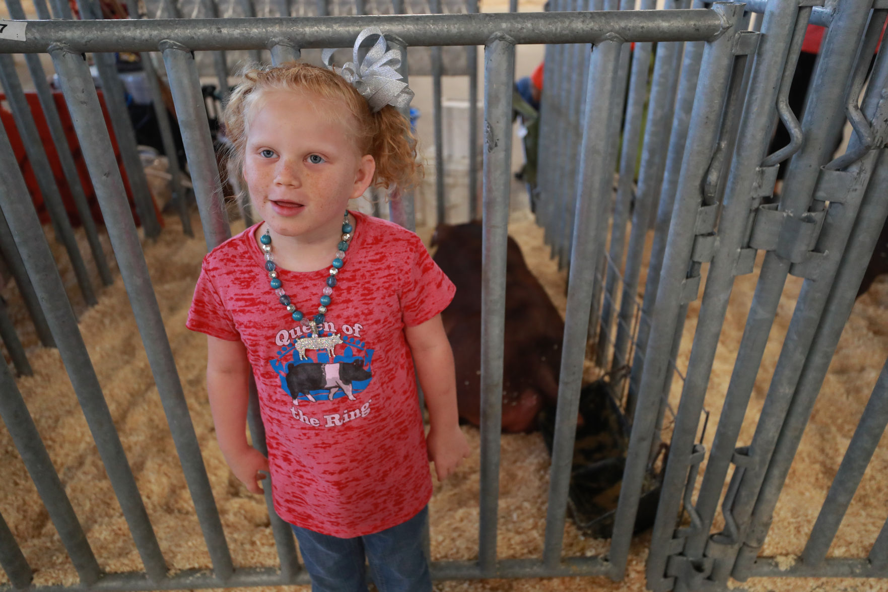 071119_HallCoFair64_bjs.JPG